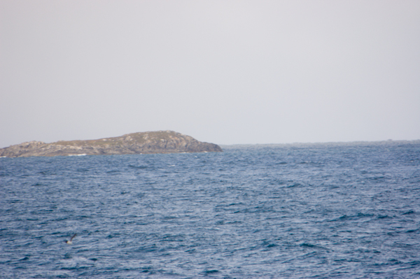 _DSC0041