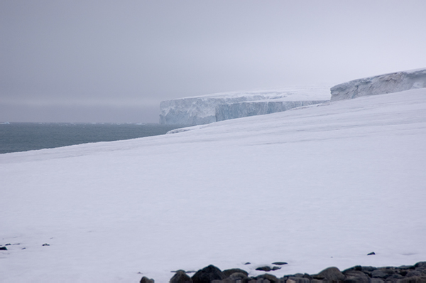 _DSC0196_edited-1
