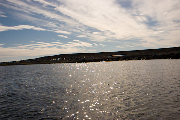 _DSC0332