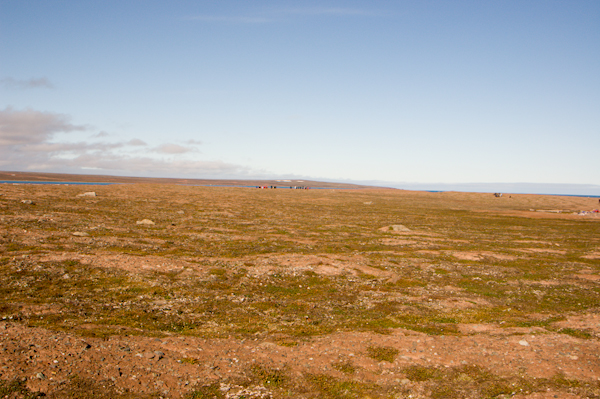 _DSC0712