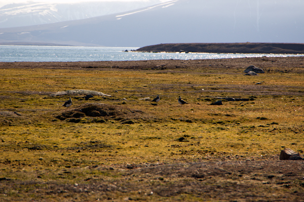 _DSC0728
