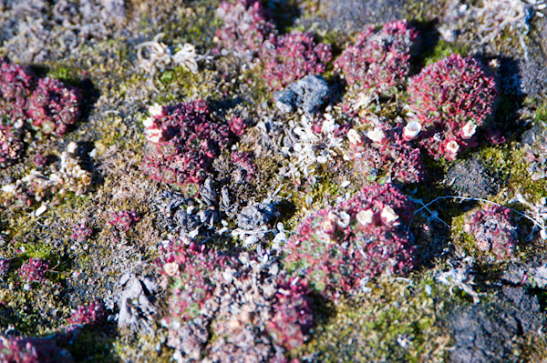 _DSC0751
