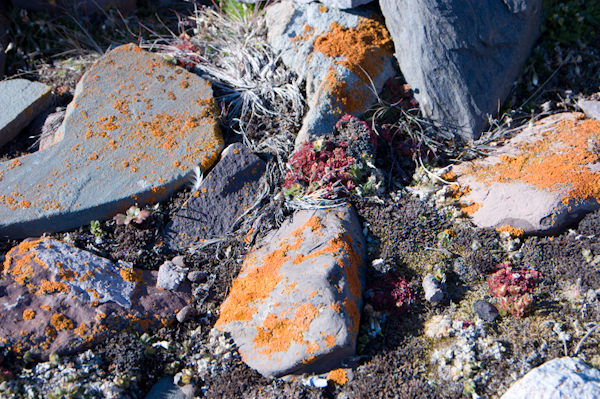 _DSC0813