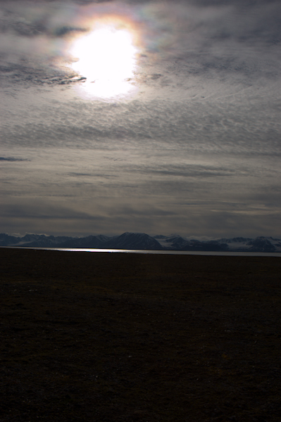 _DSC0883