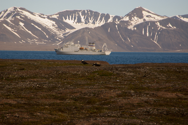 _DSC0895