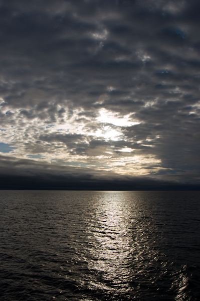 _DSC0916
