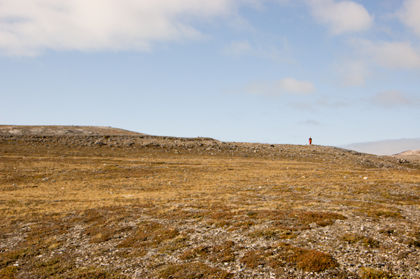 _DSC1020