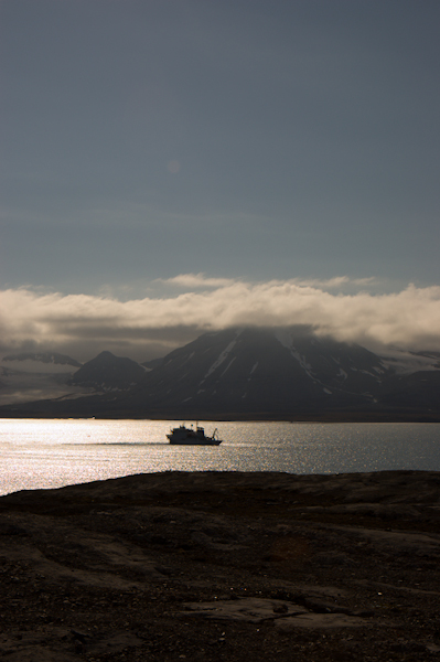 _DSC1044
