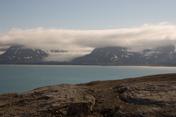 _DSC1050