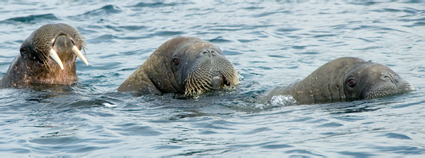 _DSC4920_edited-1