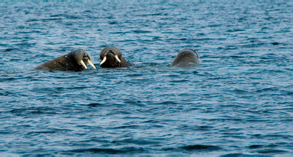 _DSC4940_edited-1