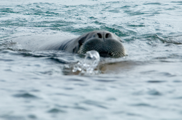 _DSC4970_edited-1