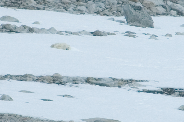 _DSC5028_edited-1