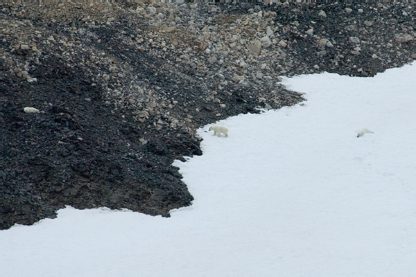 _DSC5270_edited-1