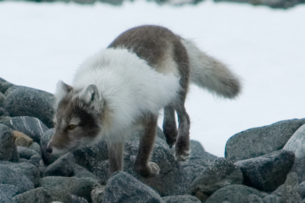 _DSC5398_edited-1