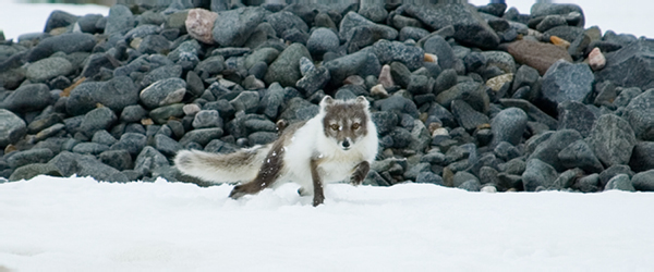 _DSC5407_edited-1