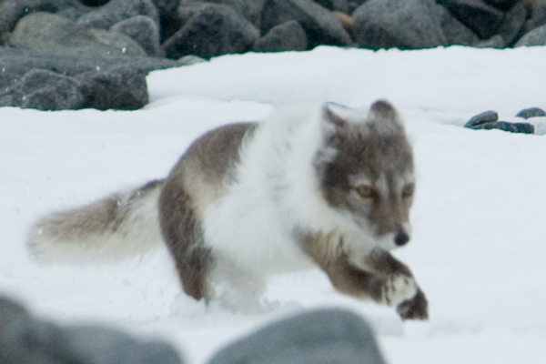 _DSC5409_edited-1