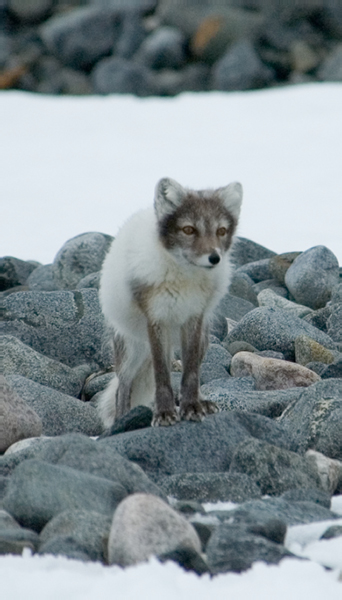 _DSC5413_edited-1