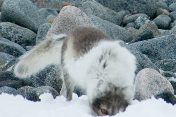 _DSC5416_edited-1