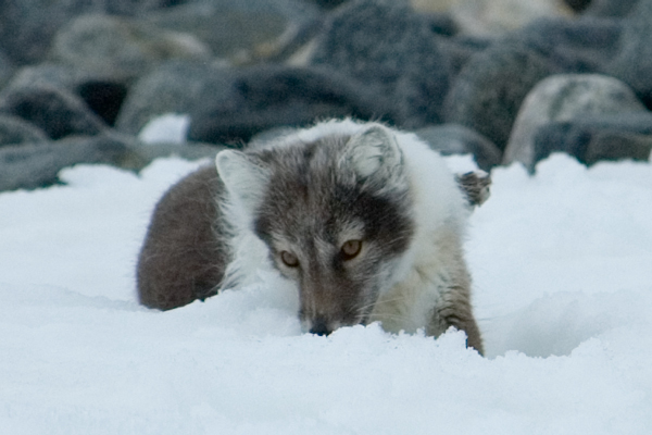 _DSC5421_edited-1