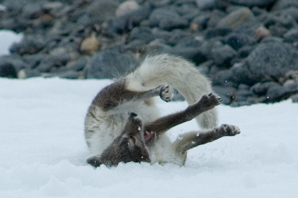 _DSC5444_edited-1