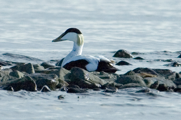 _DSC5504_edited-1