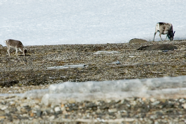 _DSC5527_edited-1