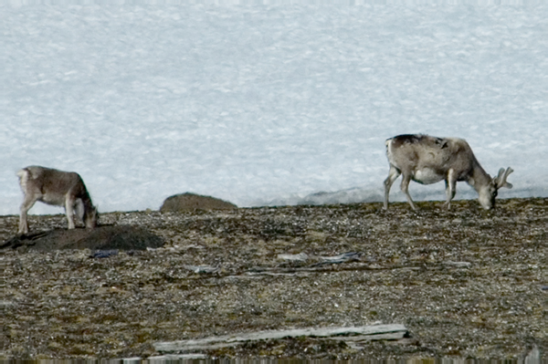 _DSC5528_edited-1
