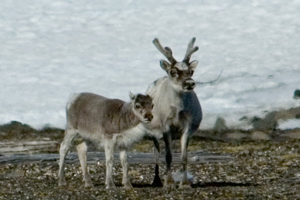 _DSC5538_edited-1