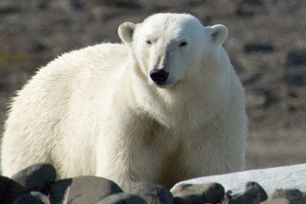 _DSC5639_edited-1