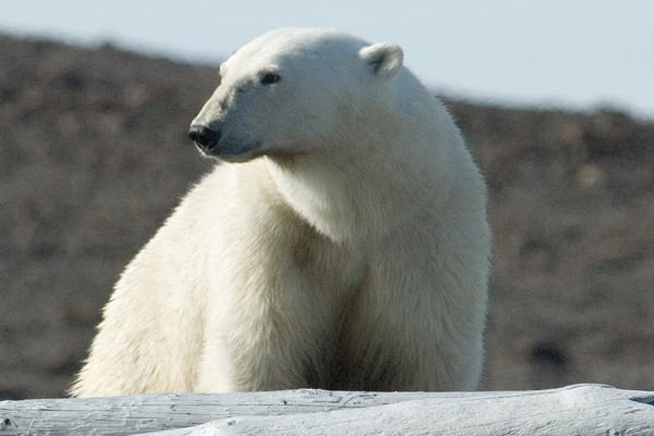 _DSC5647_edited-1