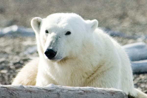 _DSC5671_edited-1