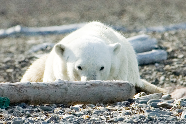 _DSC5680_edited-1
