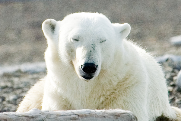 _DSC5685_edited-1