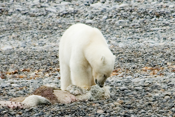 _DSC5853_edited-1