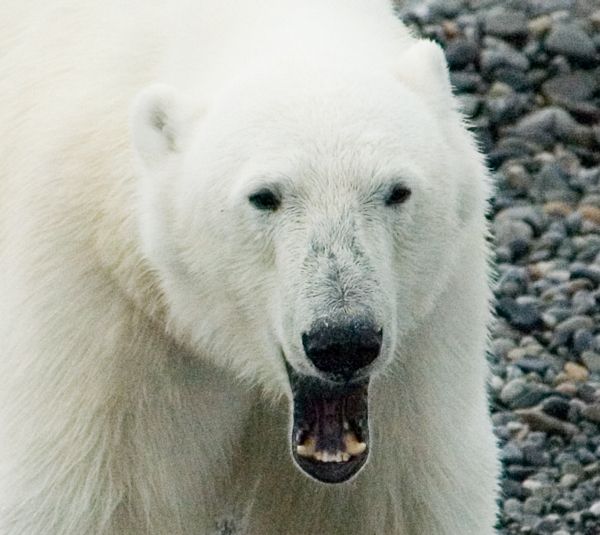 _DSC6027_edited-1
