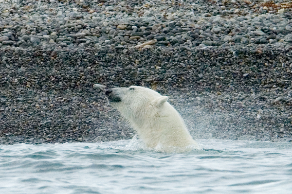 _DSC6029_edited-1
