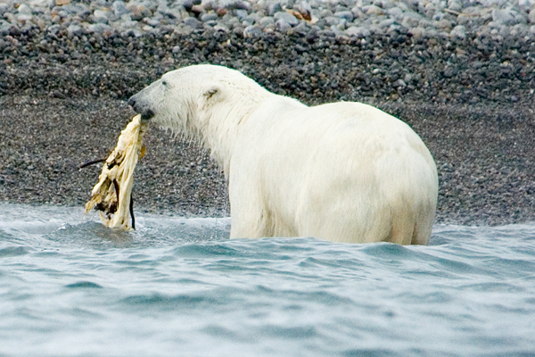 _DSC6044_edited-1