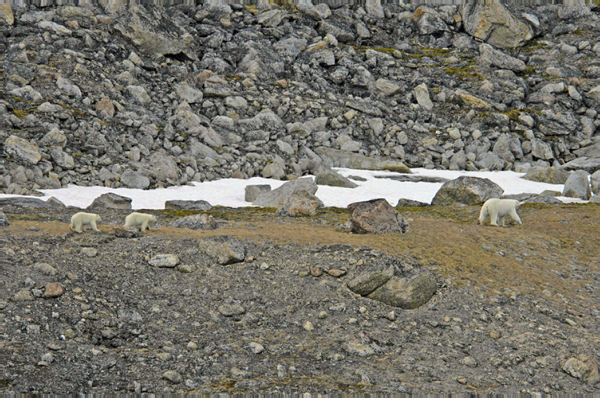 _DSC6121_edited-1