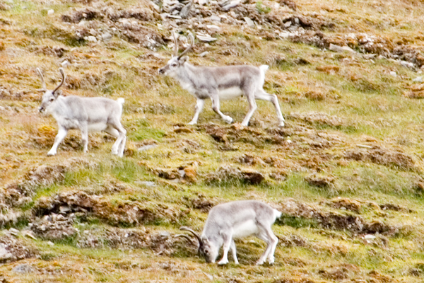 _DSC6527_edited-1