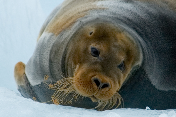 _DSC6660_edited-1