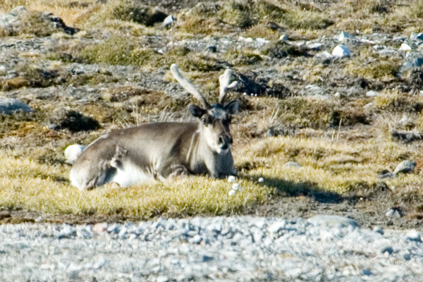 _DSC6755_edited-1