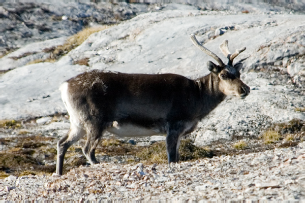_DSC6765_edited-1