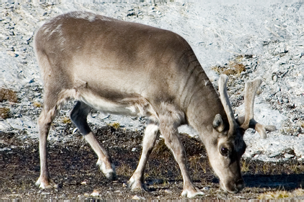 _DSC6784_edited-1