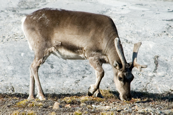 _DSC6788_edited-1