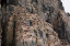 _DSC0419