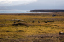_DSC0728