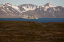 _DSC0895