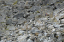 _DSC4869_edited-1
