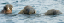_DSC4920_edited-1